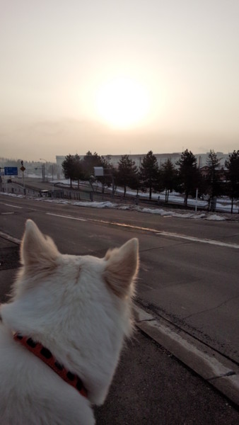 f:id:buhi84shin:20150320214404j:image f:id:buhi84shin:20150320214404j:image