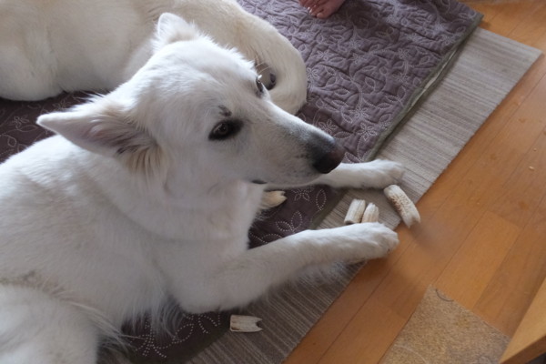 f:id:buhi84shin:20150320215643j:image f:id:buhi84shin:20150320215643j:image