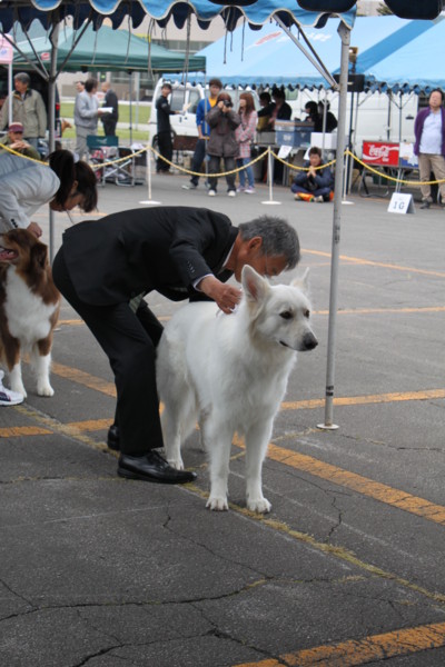 f:id:buhi84shin:20150607222253j:image