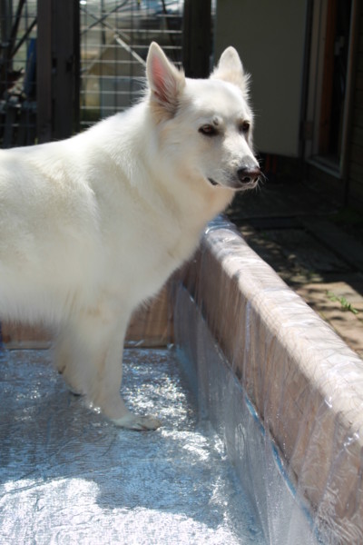 f:id:buhi84shin:20150711230838j:image f:id:buhi84shin:20150711230838j:image