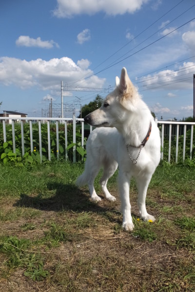 f:id:buhi84shin:20150901224246j:image