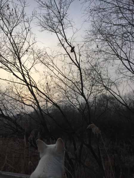 f:id:buhi84shin:20151114222149j:image f:id:buhi84shin:20151114222149j:image