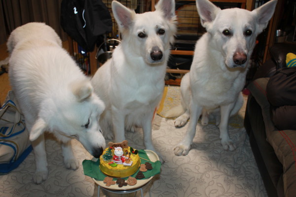 f:id:buhi84shin:20161225215331j:image f:id:buhi84shin:20161225215331j:image