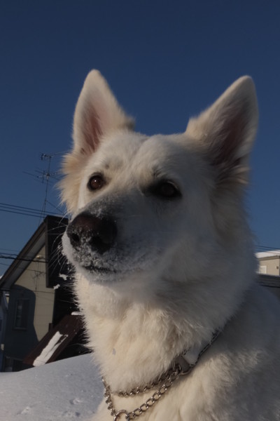 20170113232102