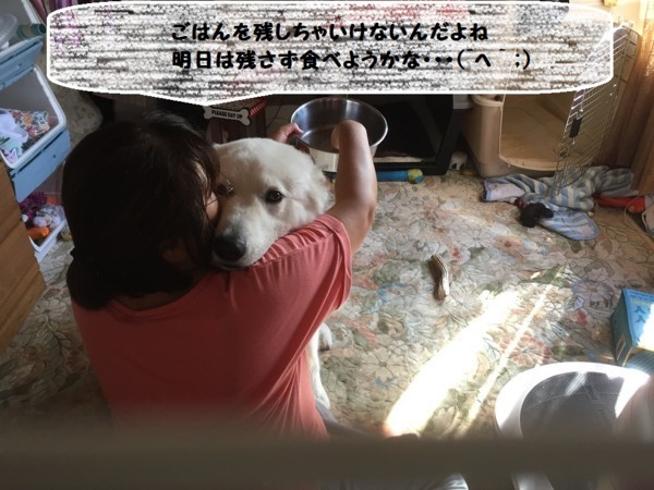f:id:buhi84shin:20170819225410j:image f:id:buhi84shin:20170819225410j:image