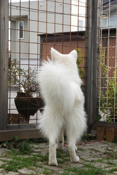 f:id:buhi84shin:20170830232735j:image f:id:buhi84shin:20170830232735j:image