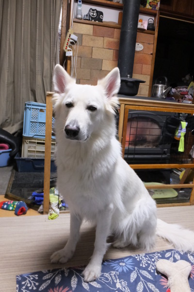f:id:buhi84shin:20180107223544j:image f:id:buhi84shin:20180107223544j:image