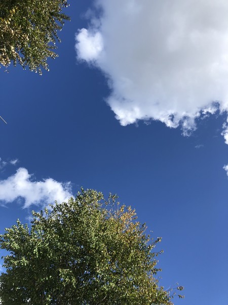 f:id:buhi84shin:20181005220203j:image