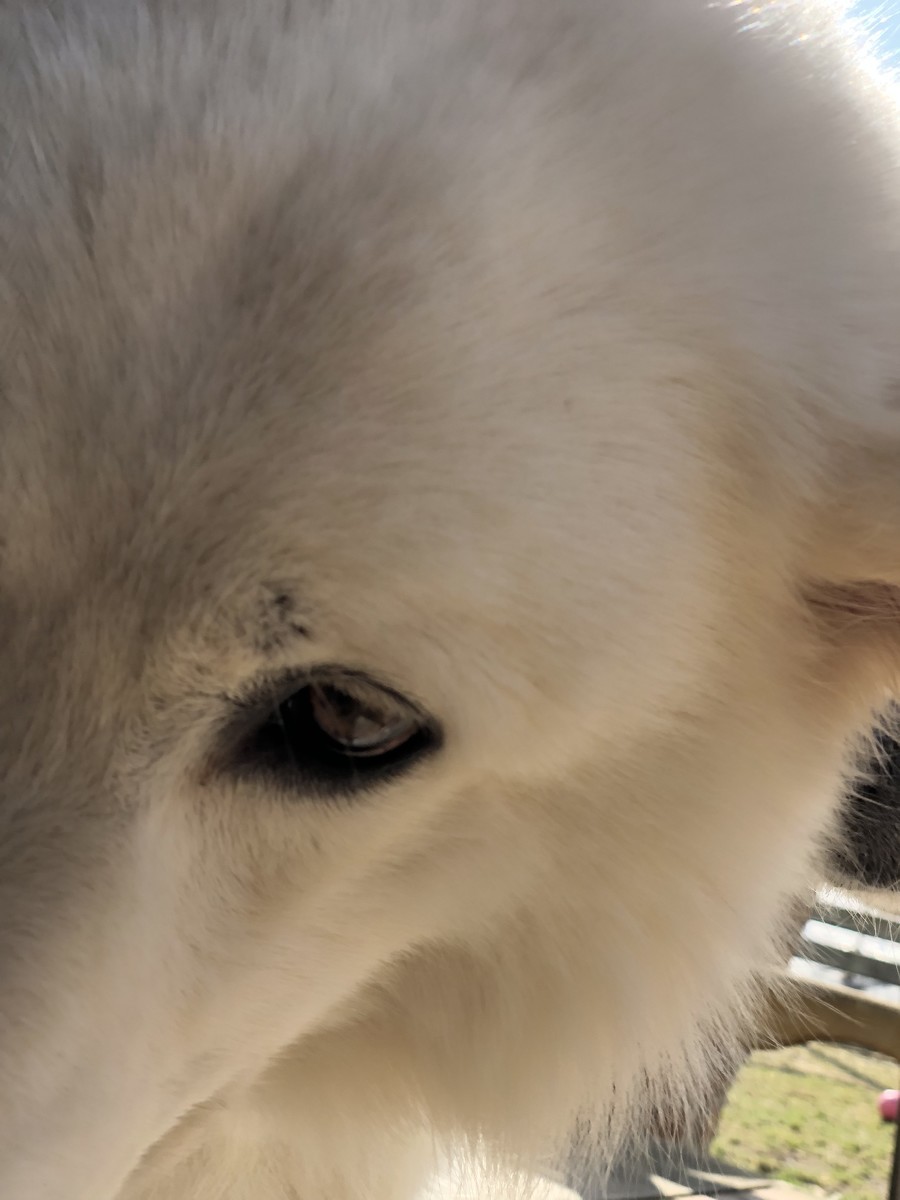 f:id:buhi84shin:20190417230436j:plain