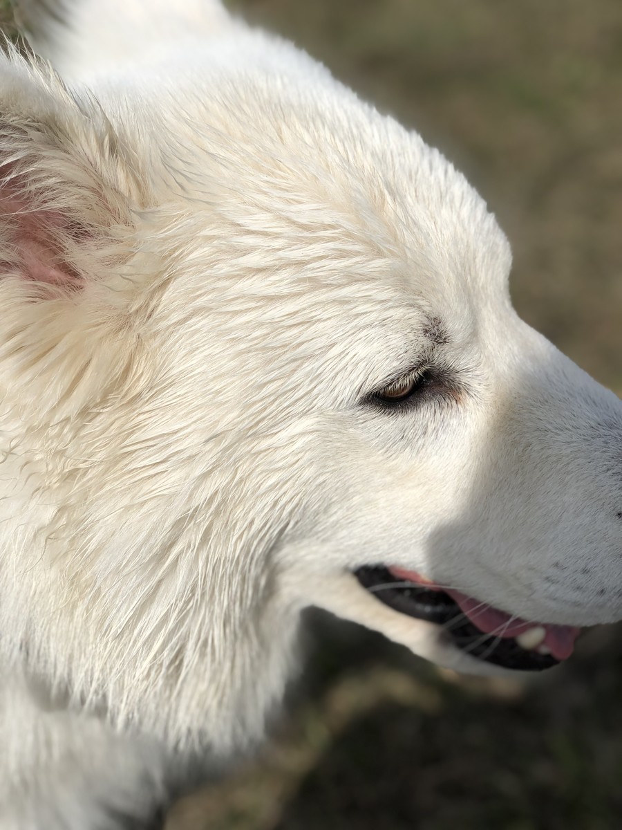 f:id:buhi84shin:20190418194230j:plain f:id:buhi84shin:20190418194230j:plain