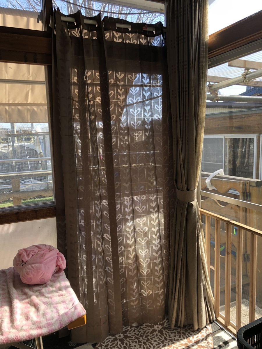 f:id:buhi84shin:20190429231357j:plain