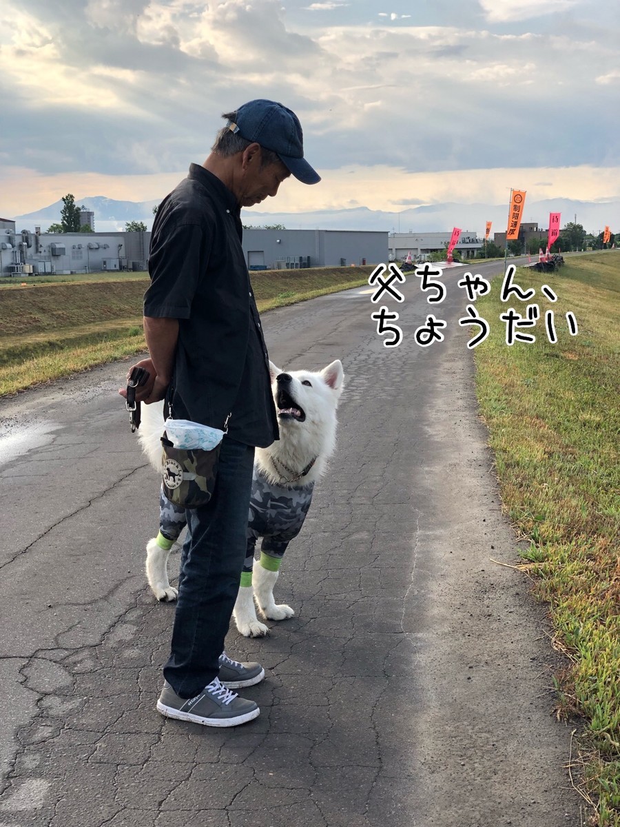 f:id:buhi84shin:20190623224744j:plain