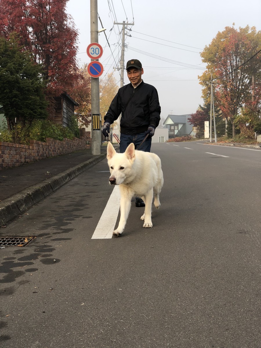 f:id:buhi84shin:20191024215549j:plain