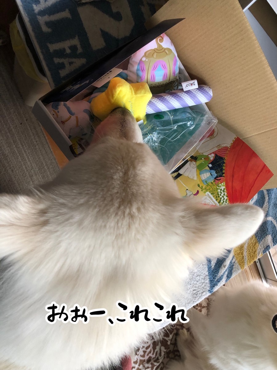 f:id:buhi84shin:20191027221518j:plain