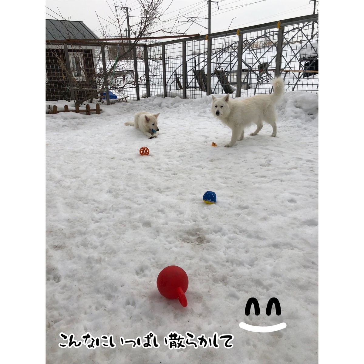f:id:buhi84shin:20200310220809j:plain