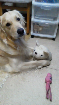 f:id:buhi84shin:20201123200412j:plain