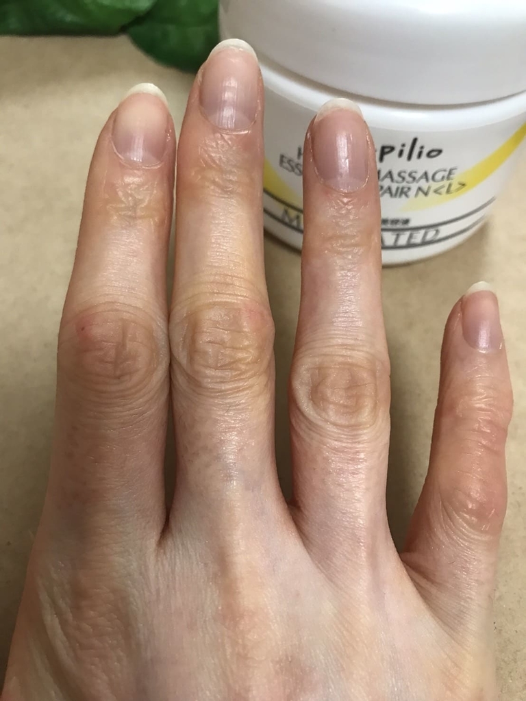 f:id:buildingdragons:20190109164926j:plain f:id:buildingdragons:20190109164926j:plain