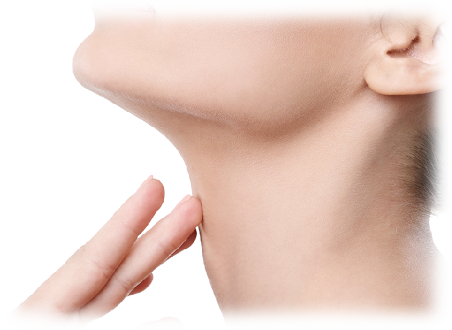 f:id:buildingdragons:20190416185252p:plain f:id:buildingdragons:20190416185252p:plain