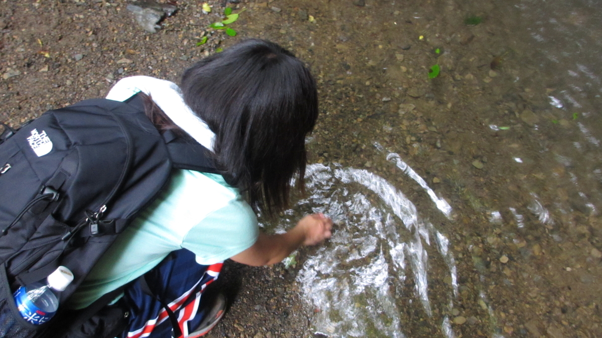 f:id:bukiyokachan:20200703000556j:plain
