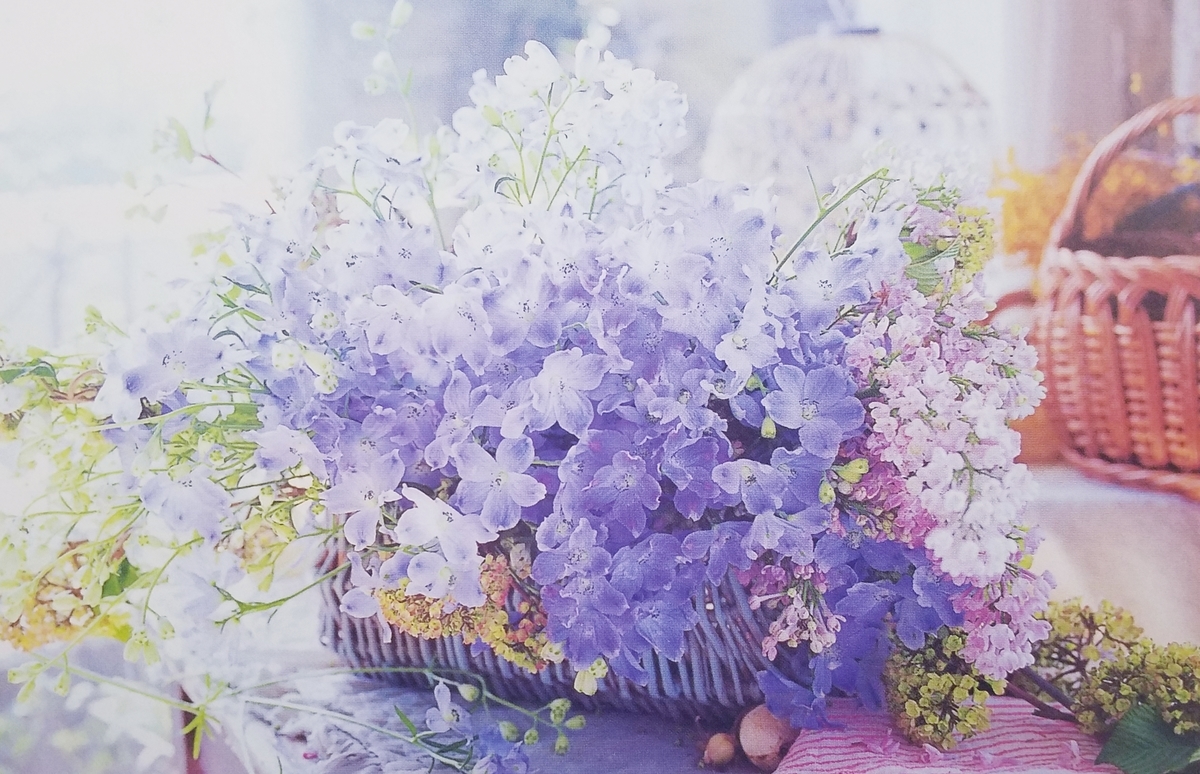 f:id:bukiyouna-kuma:20190514101249j:plain f:id:bukiyouna-kuma:20190514101249j:plain
