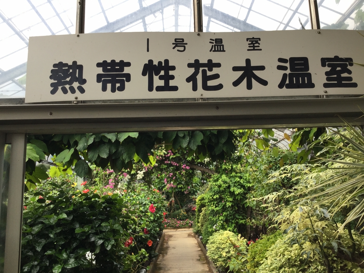 f:id:bukotsu:20190720143657j:plain f:id:bukotsu:20190720143657j:plain
