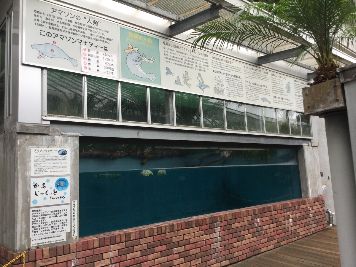 f:id:bukotsu:20190720144350j:plain f:id:bukotsu:20190720144350j:plain