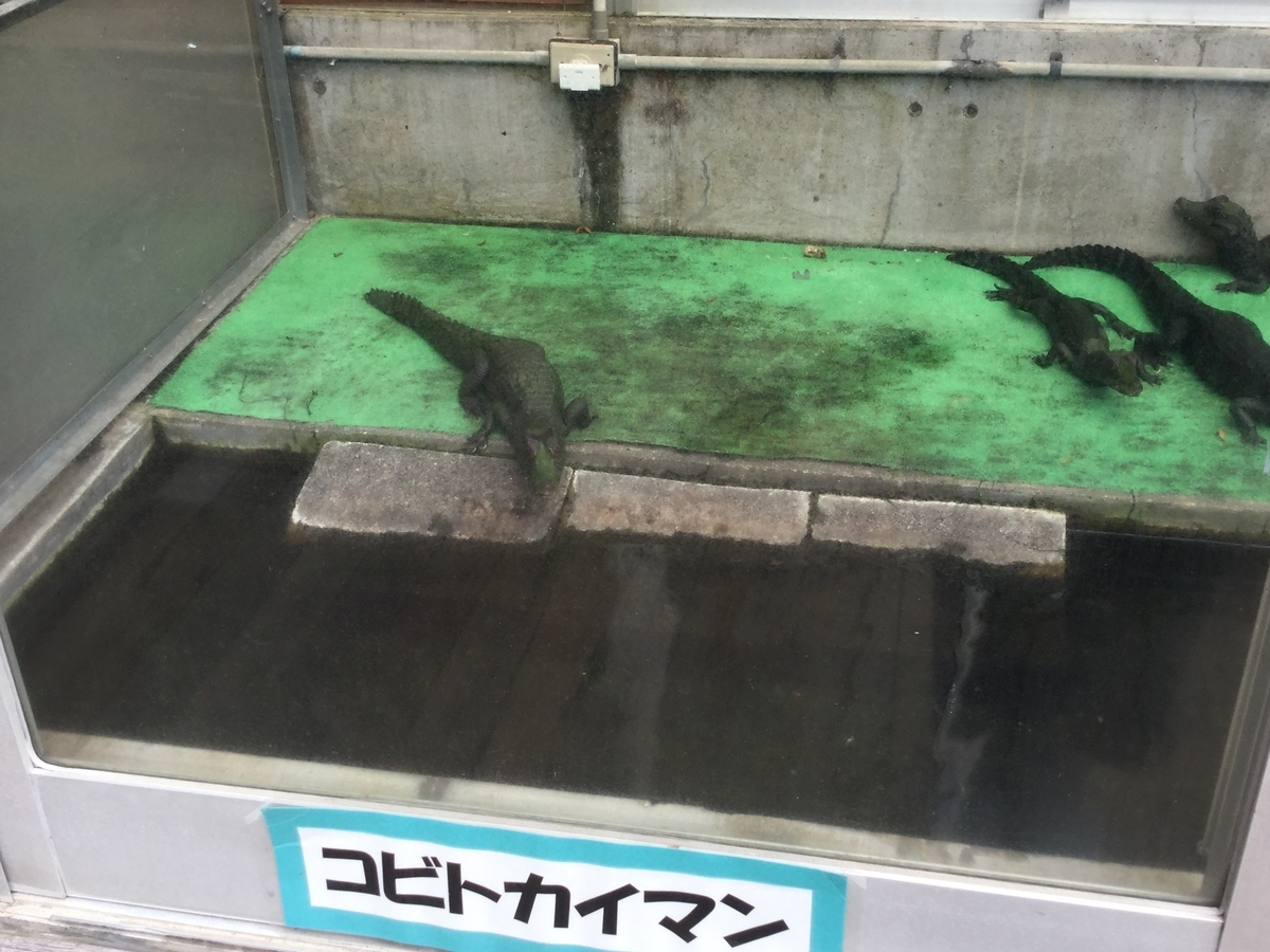 f:id:bukotsu:20190720144752j:plain f:id:bukotsu:20190720144752j:plain