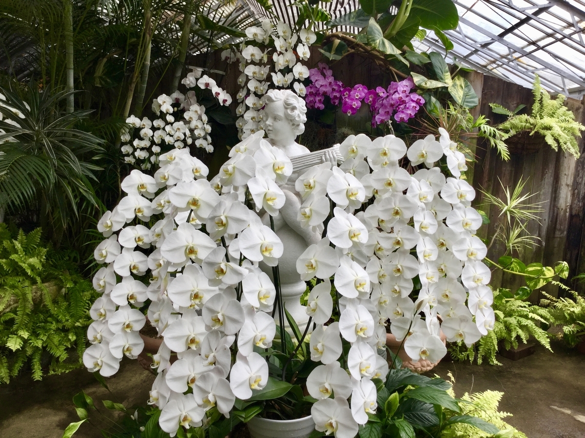 f:id:bukotsu:20190720145915j:plain f:id:bukotsu:20190720145915j:plain