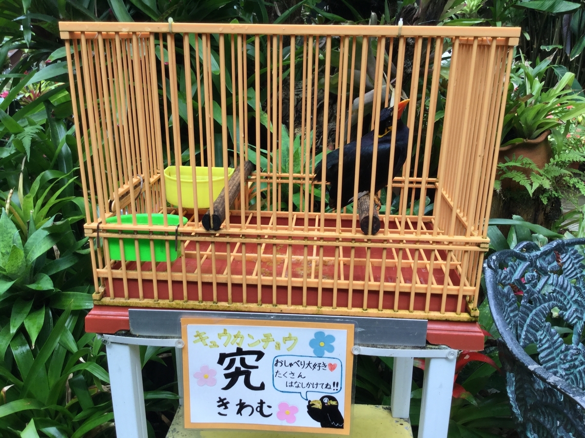 f:id:bukotsu:20190720150022j:plain f:id:bukotsu:20190720150022j:plain