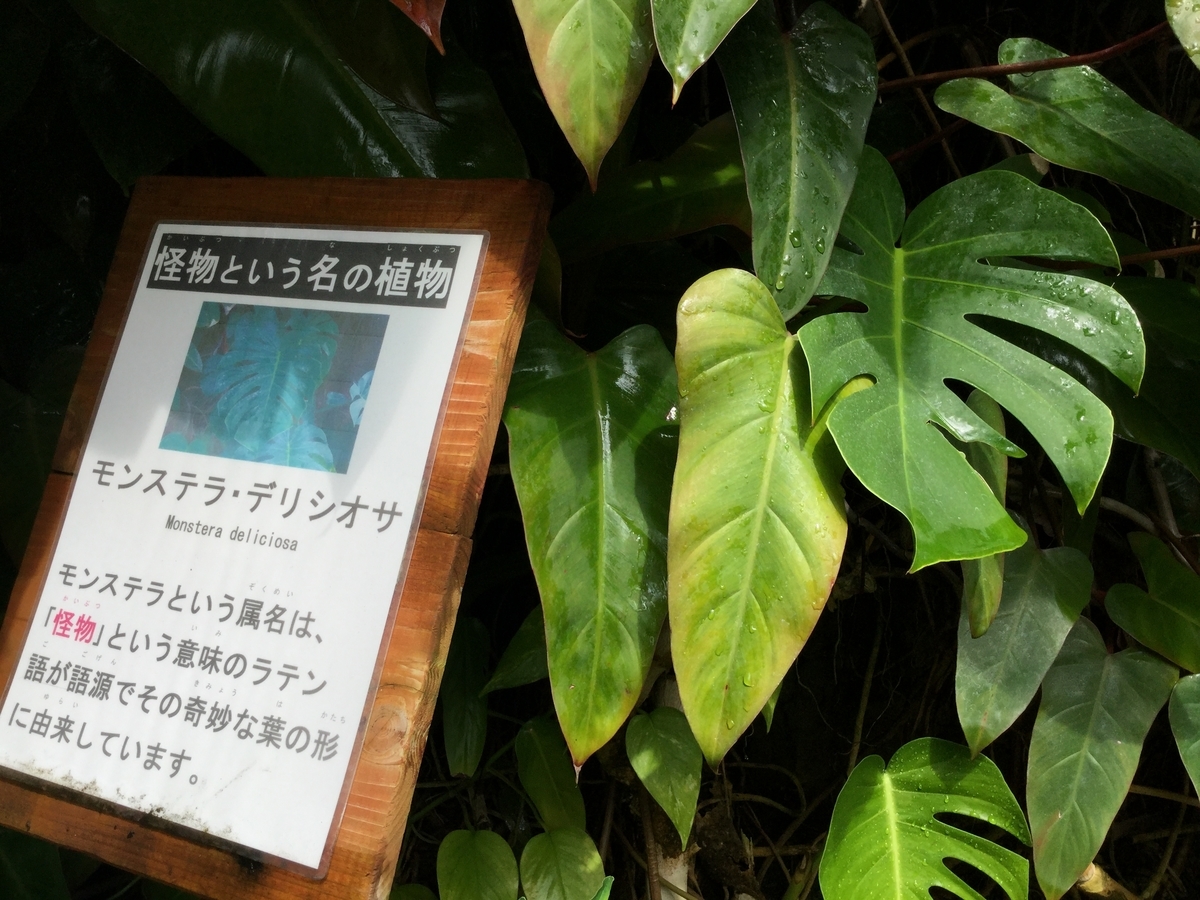 f:id:bukotsu:20190720151242j:plain f:id:bukotsu:20190720151242j:plain