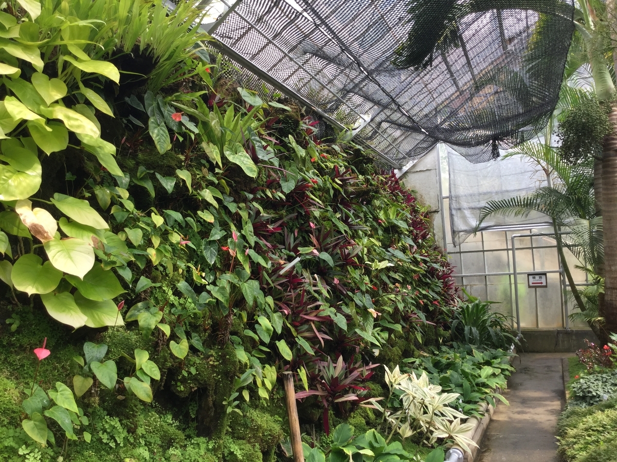 f:id:bukotsu:20190720151310j:plain f:id:bukotsu:20190720151310j:plain