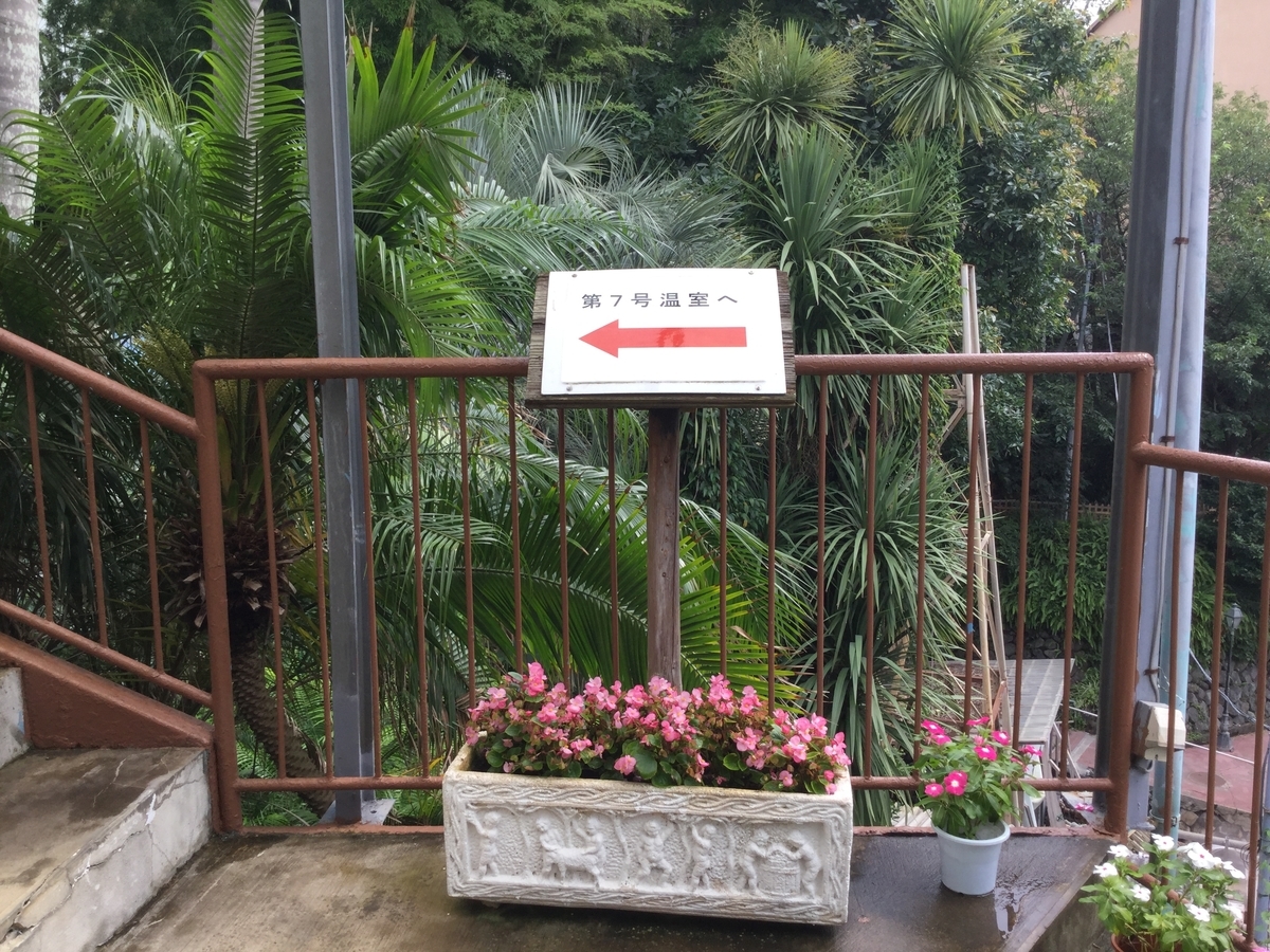 f:id:bukotsu:20190720151737j:plain f:id:bukotsu:20190720151737j:plain