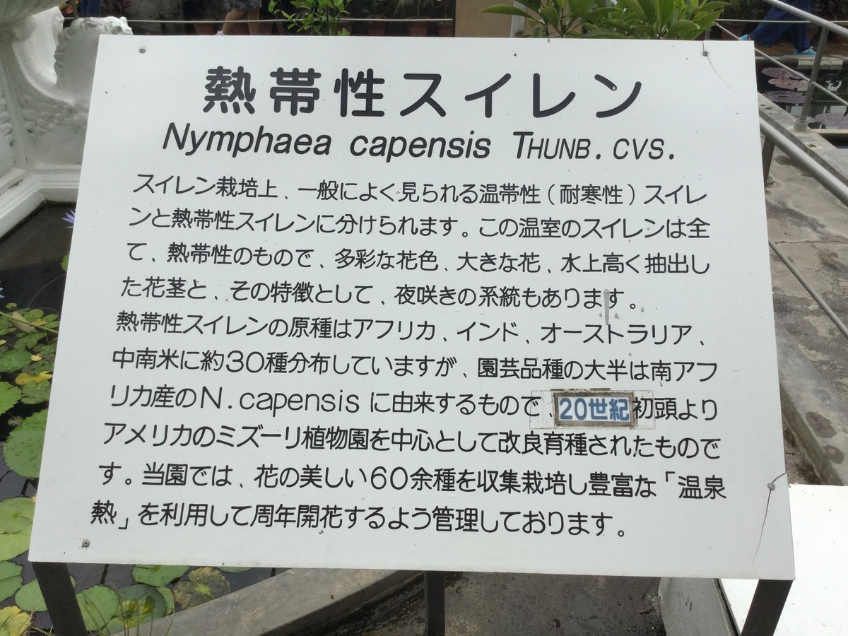 f:id:bukotsu:20190720164249j:plain f:id:bukotsu:20190720164249j:plain