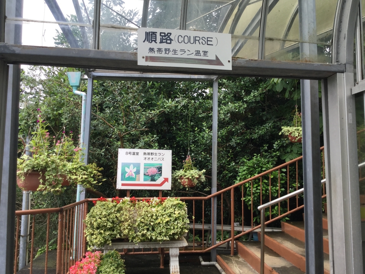 f:id:bukotsu:20190720164350j:plain f:id:bukotsu:20190720164350j:plain