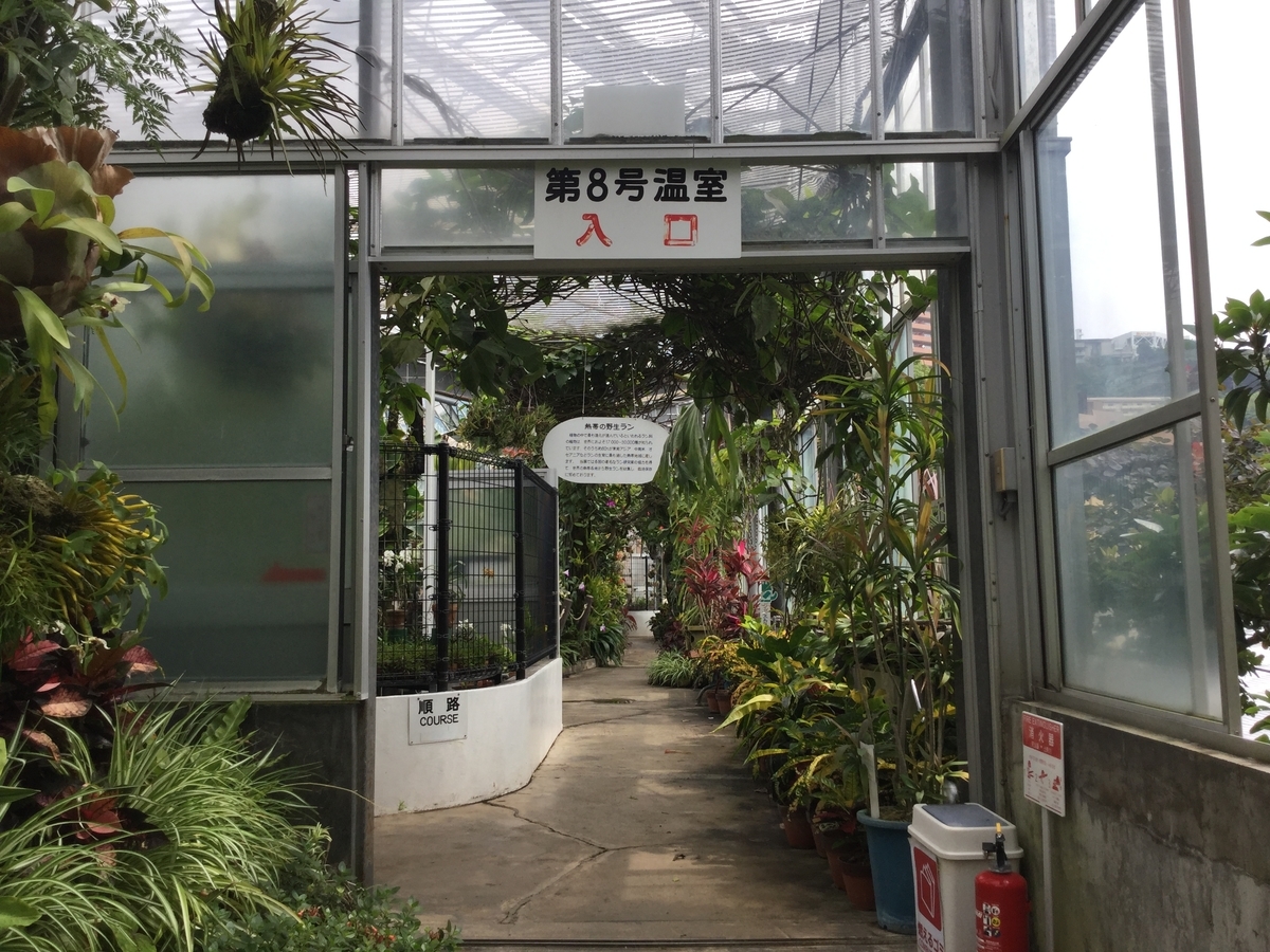 f:id:bukotsu:20190720164517j:plain f:id:bukotsu:20190720164517j:plain
