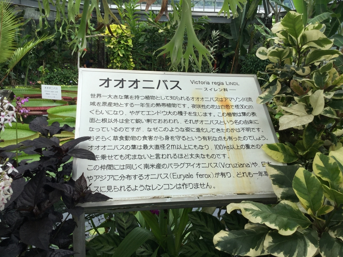 f:id:bukotsu:20190720164543j:plain f:id:bukotsu:20190720164543j:plain