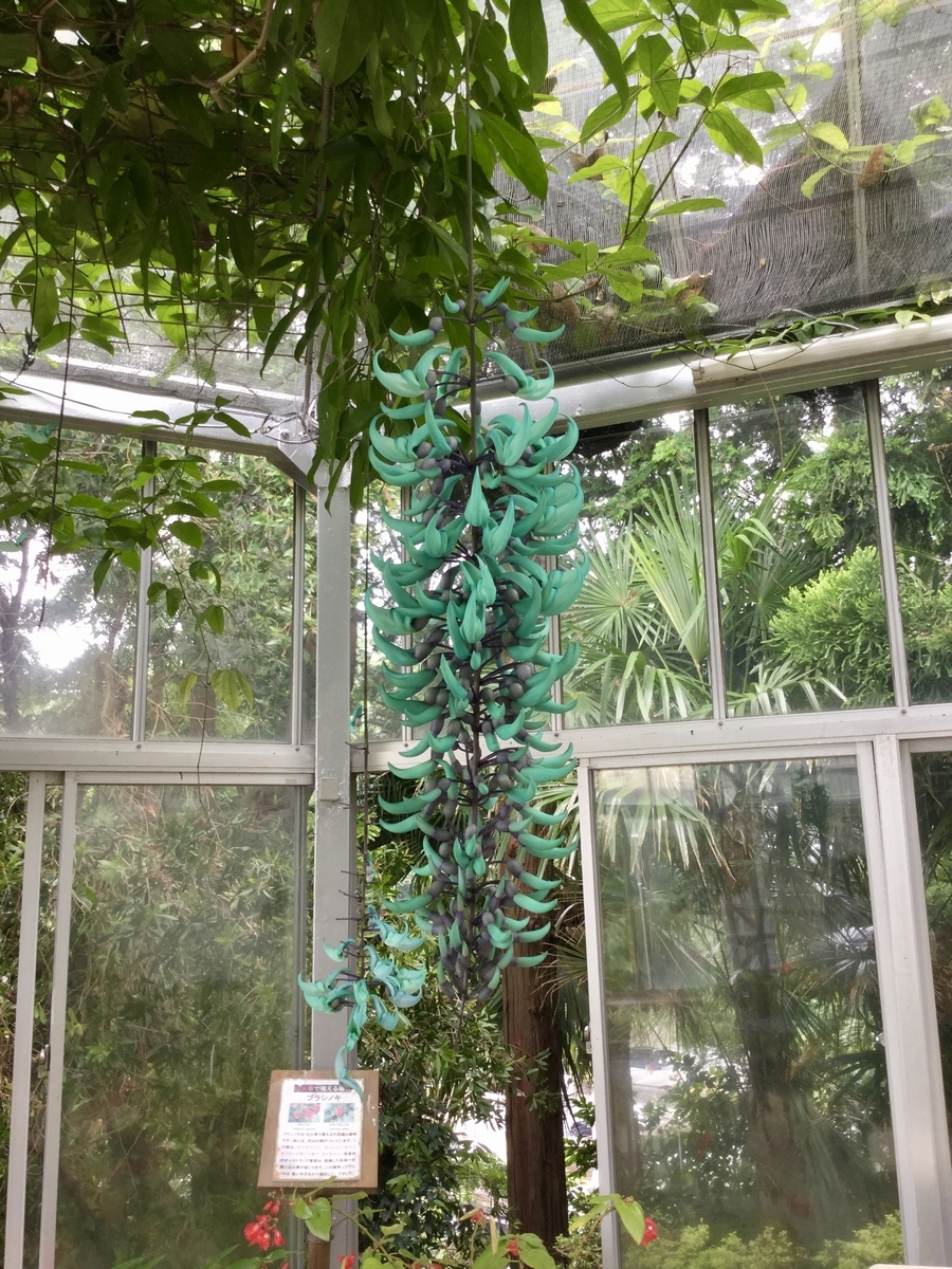 f:id:bukotsu:20190720165329j:plain f:id:bukotsu:20190720165329j:plain