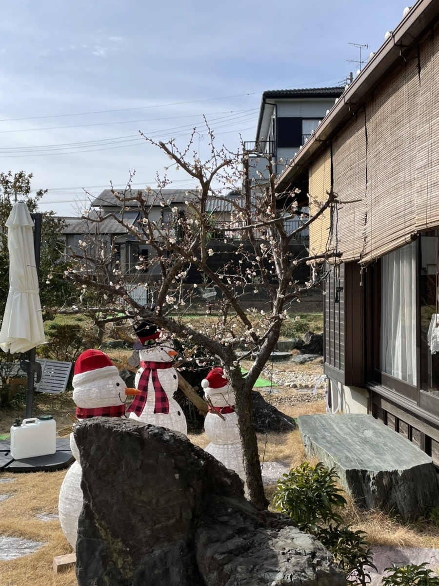 f:id:bulemamimu05:20220205082621j:plain