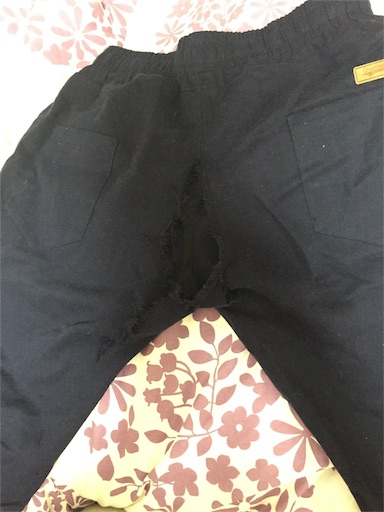 f:id:buleparrot:20170330165351j:image