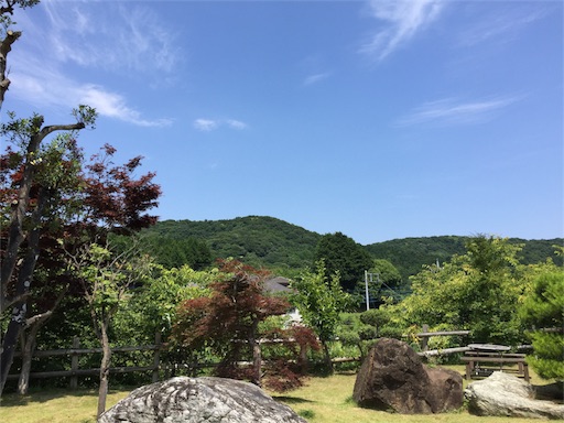 f:id:buleparrot:20170623163720j:image f:id:buleparrot:20170623163720j:image