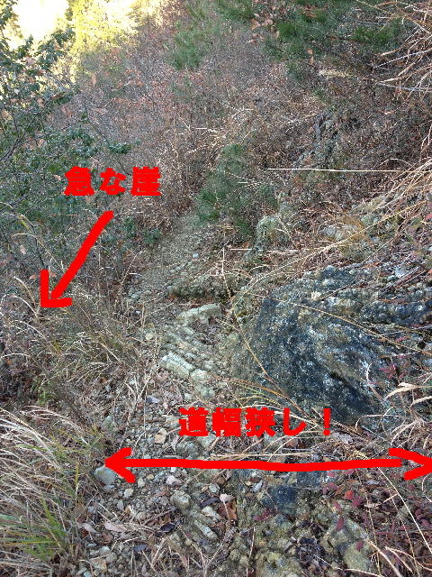 イメージ 3