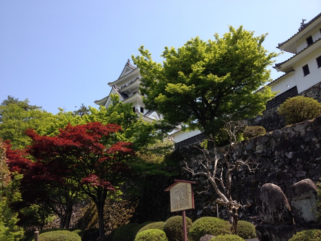 イメージ 3