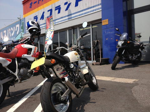 イメージ 5