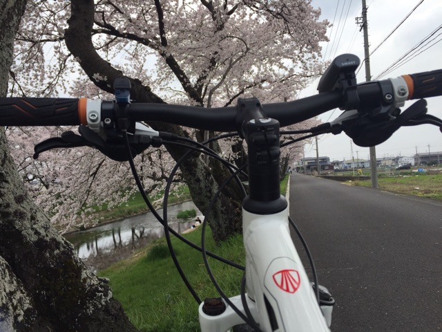 イメージ 3