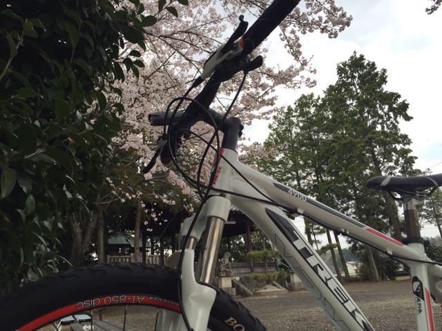 イメージ 6