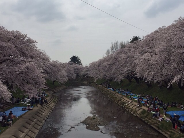 イメージ 7