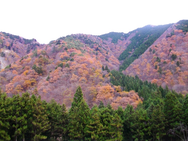 イメージ 4