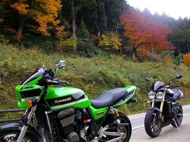 イメージ 5