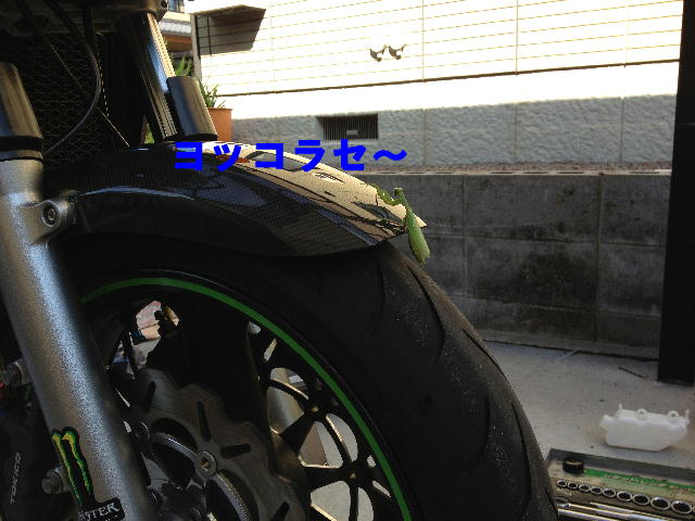 イメージ 1