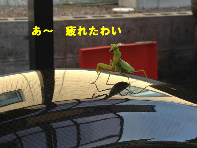 イメージ 2